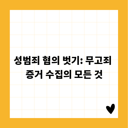 성범죄 혐의 벗기: 무고죄 증거 수집의 모든 것