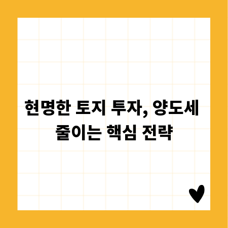 현명한 토지 투자, 양도세 줄이는 핵심 전략