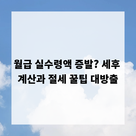 월급 실수령액 증발? 세후 계산과 절세 꿀팁 대방출