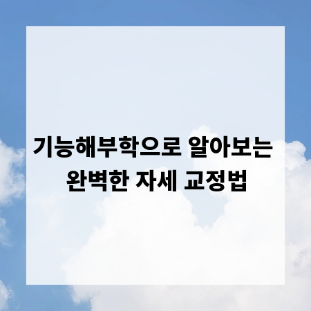 기능해부학으로 알아보는 완벽한 자세 교정법