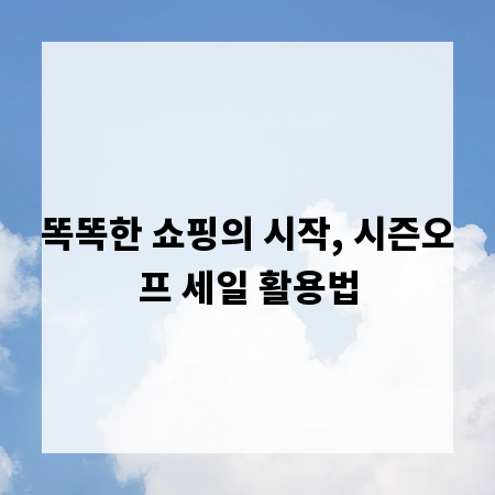 똑똑한 쇼핑의 시작, 시즌오프 세일 활용법