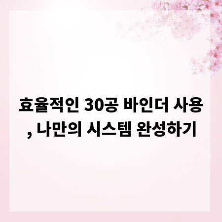 효율적인 30공 바인더 사용, 나만의 시스템 완성하기