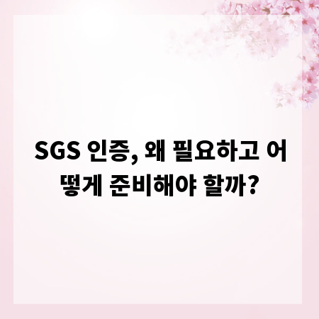 SGS 인증, 왜 필요하고 어떻게 준비해야 할까?