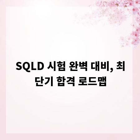 SQLD 시험 완벽 대비, 최단기 합격 로드맵