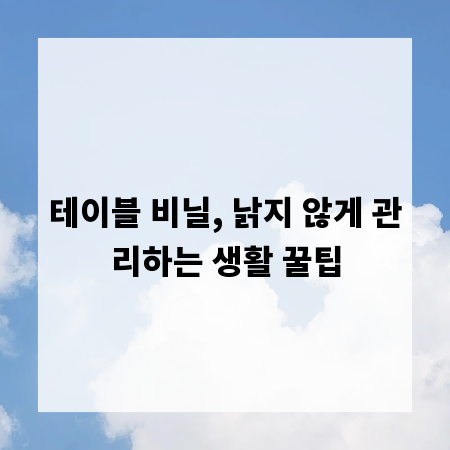 테이블 비닐, 낡지 않게 관리하는 생활 꿀팁