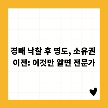경매 낙찰 후 명도, 소유권 이전: 이것만 알면 전문가