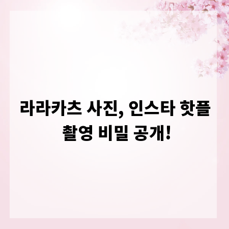 라라카츠 사진, 인스타 핫플 촬영 비밀 공개!