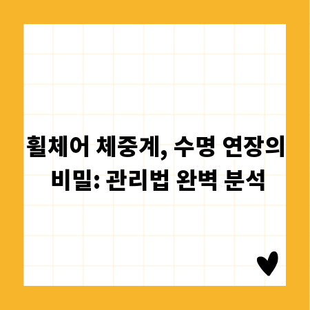 휠체어 체중계, 수명 연장의 비밀: 관리법 완벽 분석
