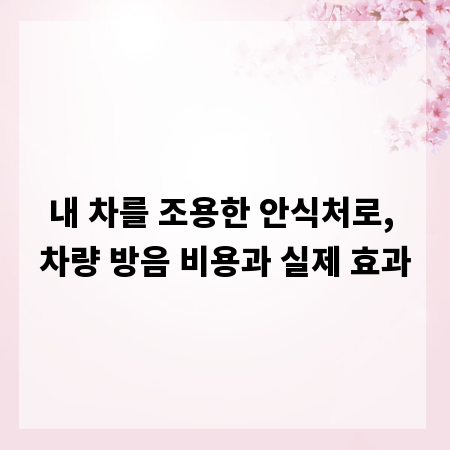 내 차를 조용한 안식처로, 차량 방음 비용과 실제 효과
