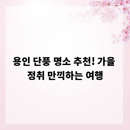 용인 단풍 명소 추천! 가을 정취 만끽하는 여행