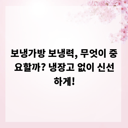 보냉가방 보냉력, 무엇이 중요할까? 냉장고 없이 신선하게!