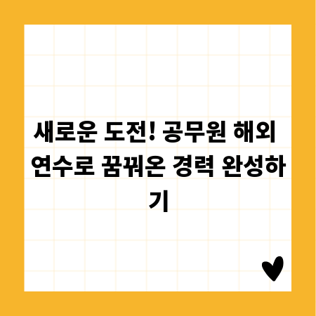 새로운 도전! 공무원 해외 연수로 꿈꿔온 경력 완성하기