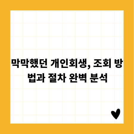 막막했던 개인회생, 조회 방법과 절차 완벽 분석