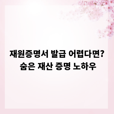 재원증명서 발급 어렵다면? 숨은 재산 증명 노하우