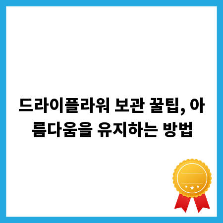 드라이플라워 보관 꿀팁, 아름다움을 유지하는 방법