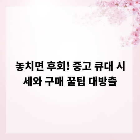 놓치면 후회! 중고 큐대 시세와 구매 꿀팁 대방출