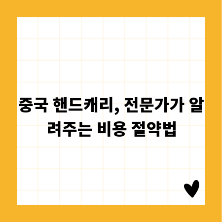 중국 핸드캐리, 전문가가 알려주는 비용 절약법