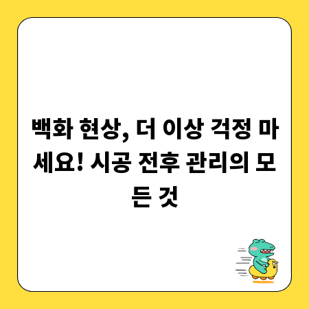 백화 현상, 더 이상 걱정 마세요! 시공 전후 관리의 모든 것