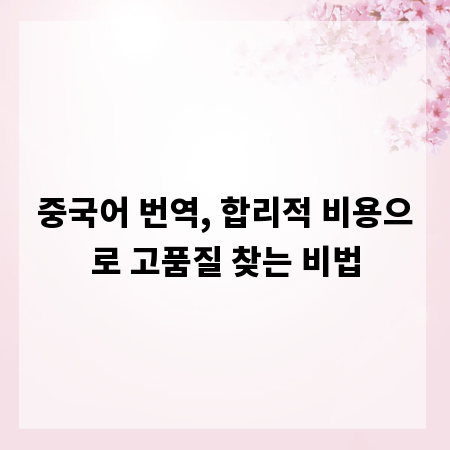 중국어 번역, 합리적 비용으로 고품질 찾는 비법