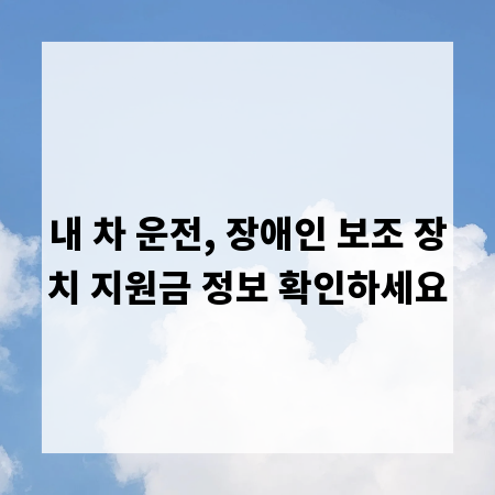 내 차 운전, 장애인 보조 장치 지원금 정보 확인하세요