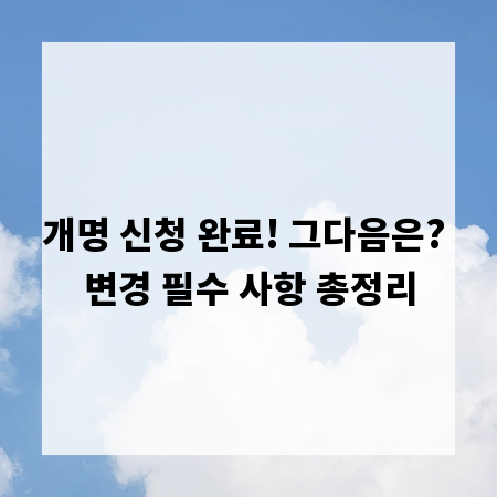 개명 신청 완료! 그다음은? 변경 필수 사항 총정리