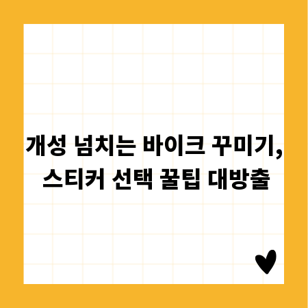 개성 넘치는 바이크 꾸미기, 스티커 선택 꿀팁 대방출