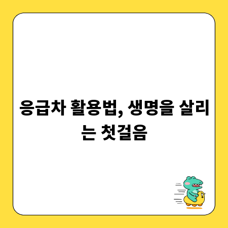 응급차 활용법, 생명을 살리는 첫걸음