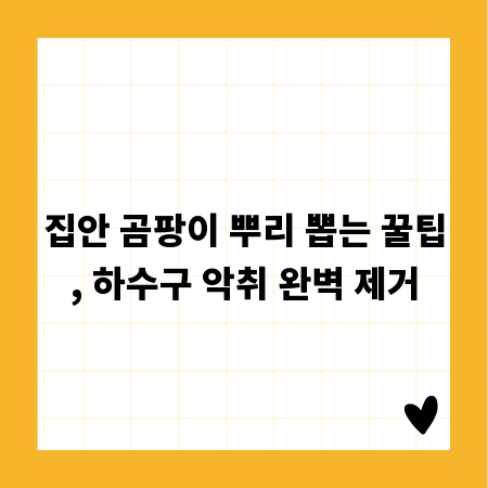 집안 곰팡이 뿌리 뽑는 꿀팁, 하수구 악취 완벽 제거