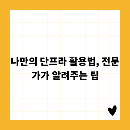 나만의 단프라 활용법, 전문가가 알려주는 팁
