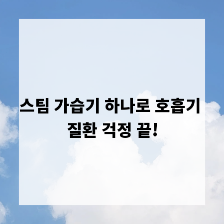 스팀 가습기 하나로 호흡기 질환 걱정 끝!