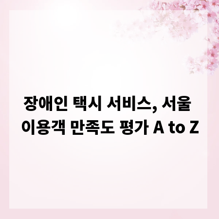 장애인 택시 서비스, 서울 이용객 만족도 평가 A to Z