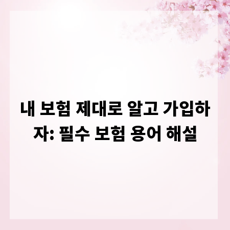 내 보험 제대로 알고 가입하자: 필수 보험 용어 해설