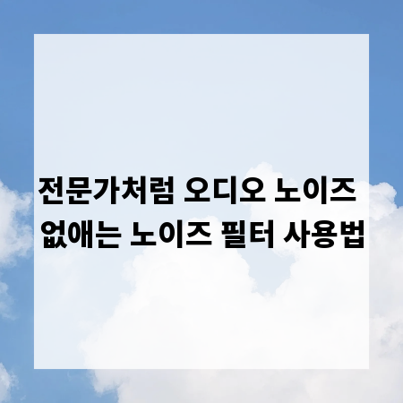 전문가처럼 오디오 노이즈 없애는 노이즈 필터 사용법