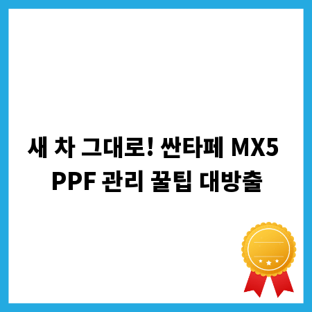 새 차 그대로! 싼타페 MX5 PPF 관리 꿀팁 대방출