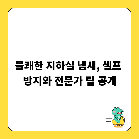 불쾌한 지하실 냄새, 셀프 방지와 전문가 팁 공개
