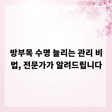 방부목 수명 늘리는 관리 비법, 전문가가 알려드립니다