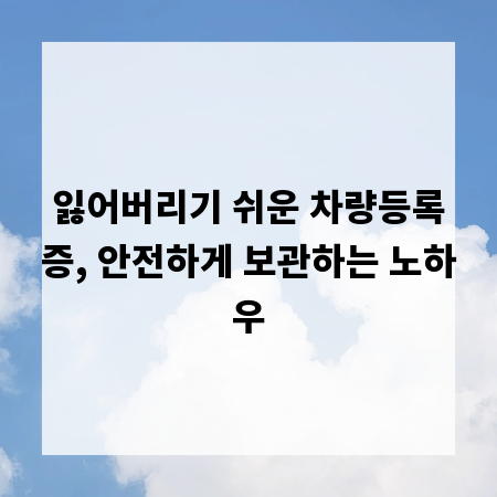 잃어버리기 쉬운 차량등록증, 안전하게 보관하는 노하우