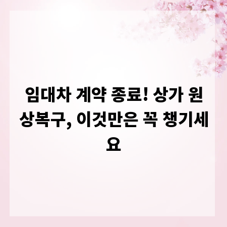 임대차 계약 종료! 상가 원상복구, 이것만은 꼭 챙기세요