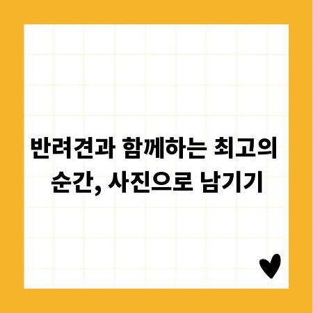 강아지 사진 잘 찍는 꿀팁, 누구나 전문가처럼