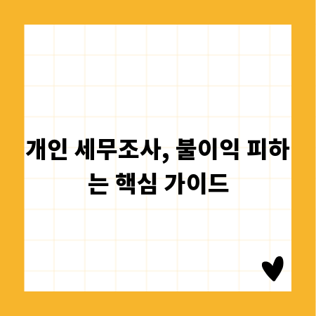 개인 세무조사, 불이익 피하는 핵심 가이드
