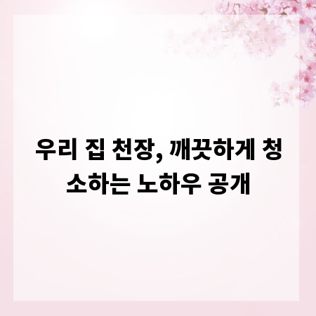 우리 집 천장, 깨끗하게 청소하는 노하우 공개