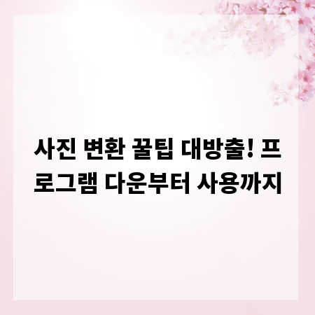 사진 변환 꿀팁 대방출! 프로그램 다운부터 사용까지