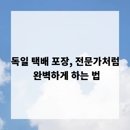 독일 택배 포장, 전문가처럼 완벽하게 하는 법