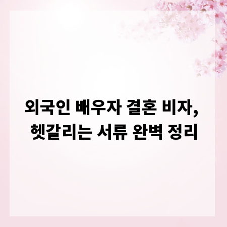 외국인 배우자 결혼 비자, 헷갈리는 서류 완벽 정리