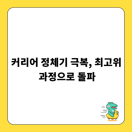 커리어 정체기 극복, 최고위 과정으로 돌파