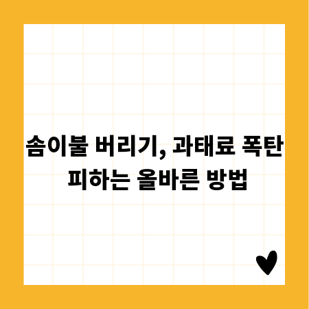 솜이불 버리기, 과태료 폭탄 피하는 올바른 방법