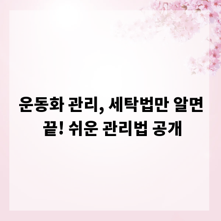 운동화 관리, 세탁법만 알면 끝! 쉬운 관리법 공개