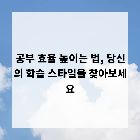 공부 효율 높이는 법, 당신의 학습 스타일을 찾아보세요