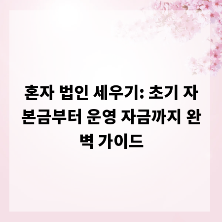 혼자 법인 세우기: 초기 자본금부터 운영 자금까지 완벽 가이드