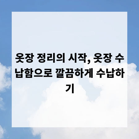 옷장 정리의 시작, 옷장 수납함으로 깔끔하게 수납하기